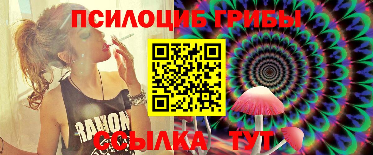 Псилоцибиновые грибы мицелий Черногорск