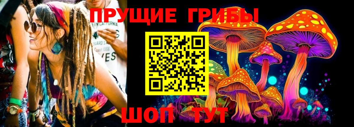 Псилоцибиновые грибы Magic Shrooms  Вход с VPN  Черногорск 